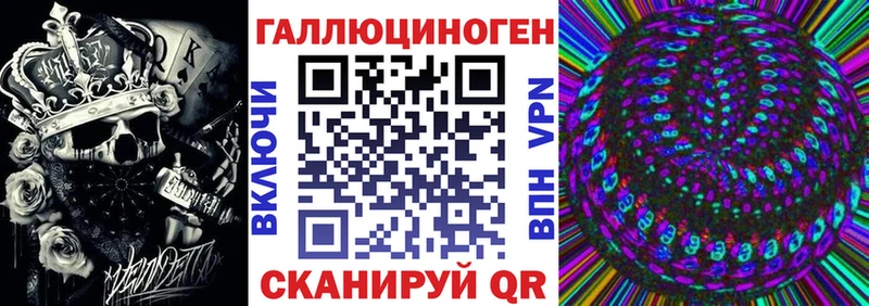 Псилоцибиновые грибы Psilocybine cubensis Лесозаводск