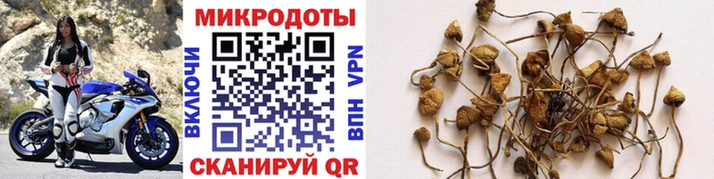 Галлюциногенные грибы Cubensis  Лесозаводск 
